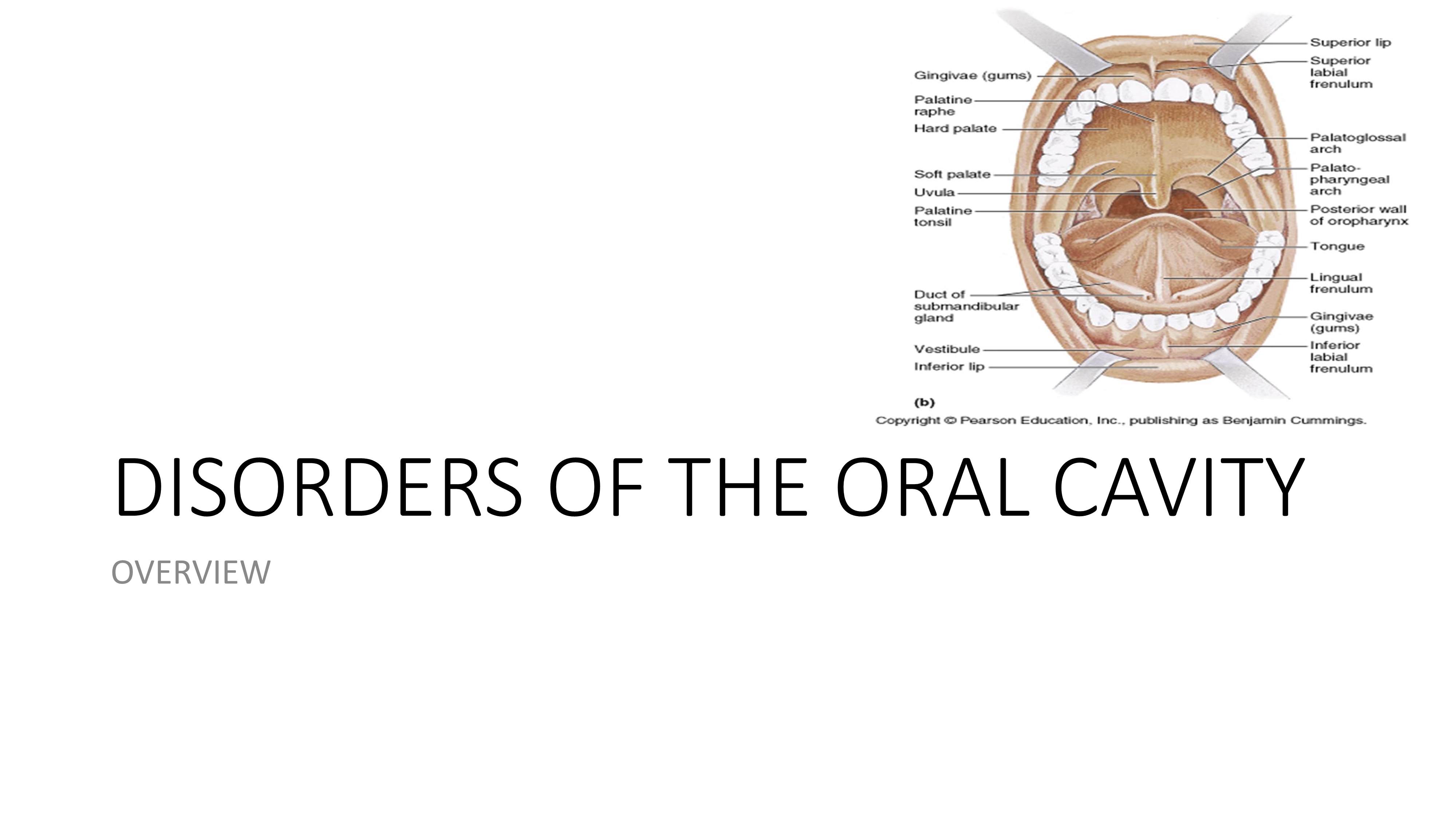 No preview available